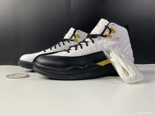 Rep Onekick 12 CT8013-170 Royalty Jordan Air 0811